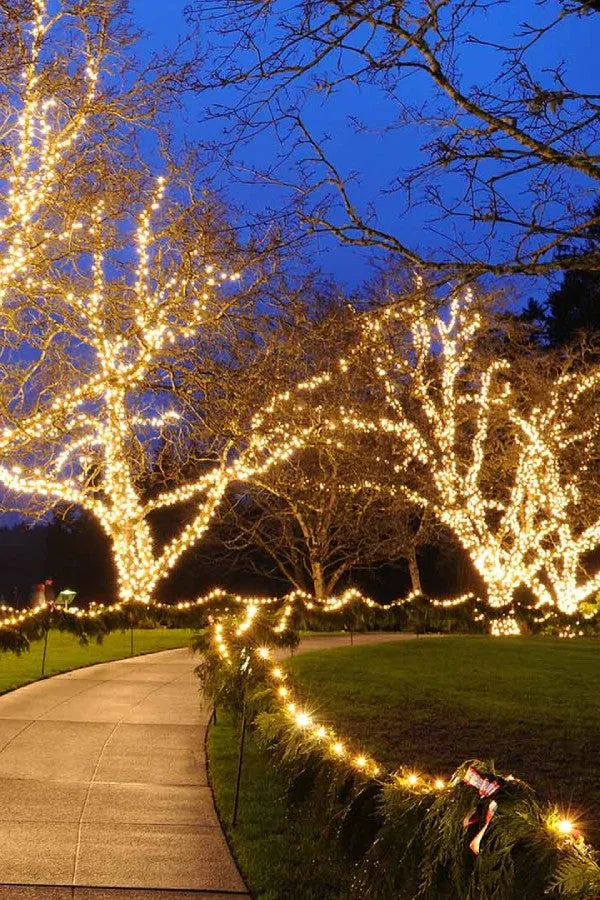Christmas String Lights for Pathway | Ollny