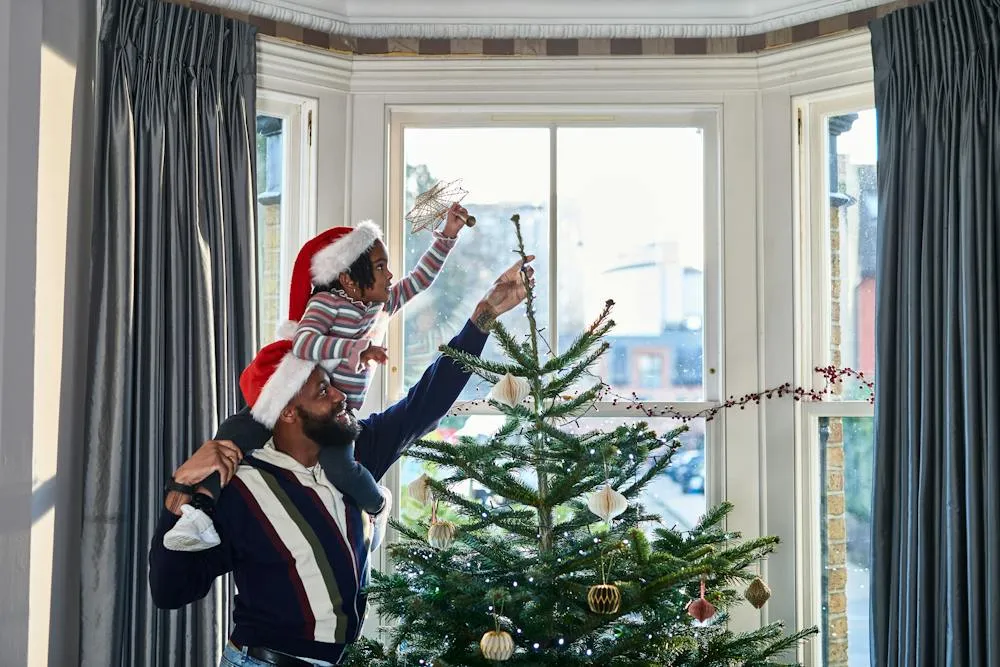 Christmas trees can stay fresh for weeks – a well-timed cut and consistent  watering are key