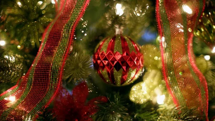 Christmas trees fill the Sheboygan home of Bill and Darlene Kummer