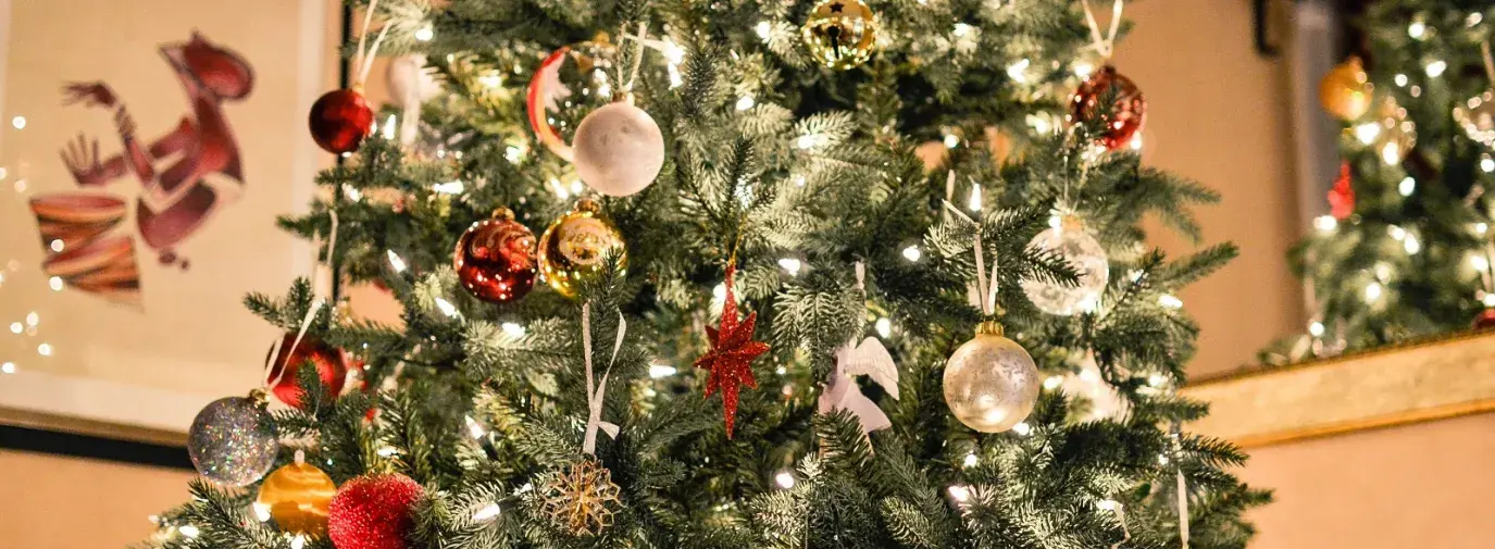 Christmas Trees: Green Options for this Classic Holiday Tradition | Green  America