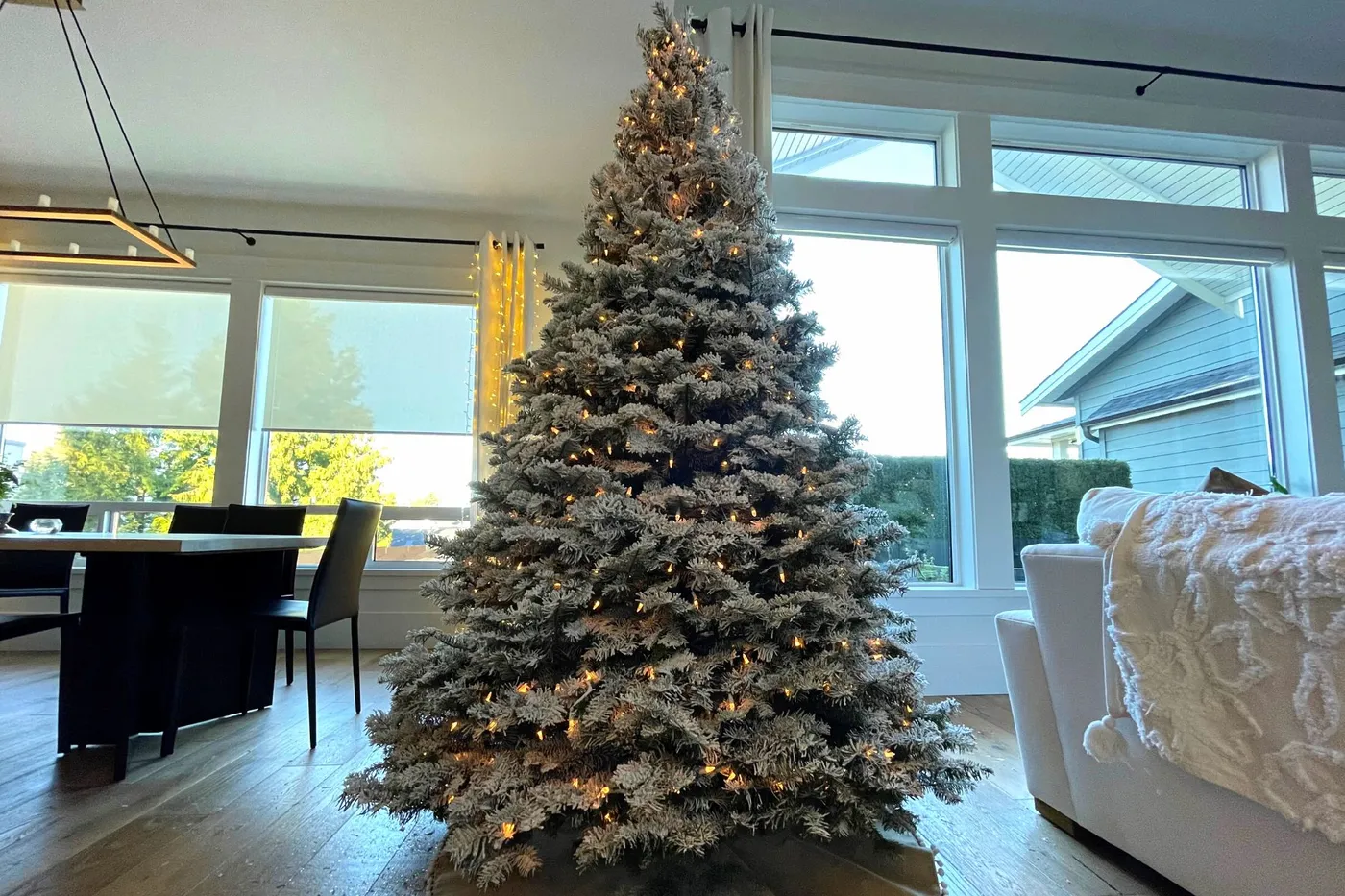 christmas trees - Hunters Garden Centre & Flower Shop