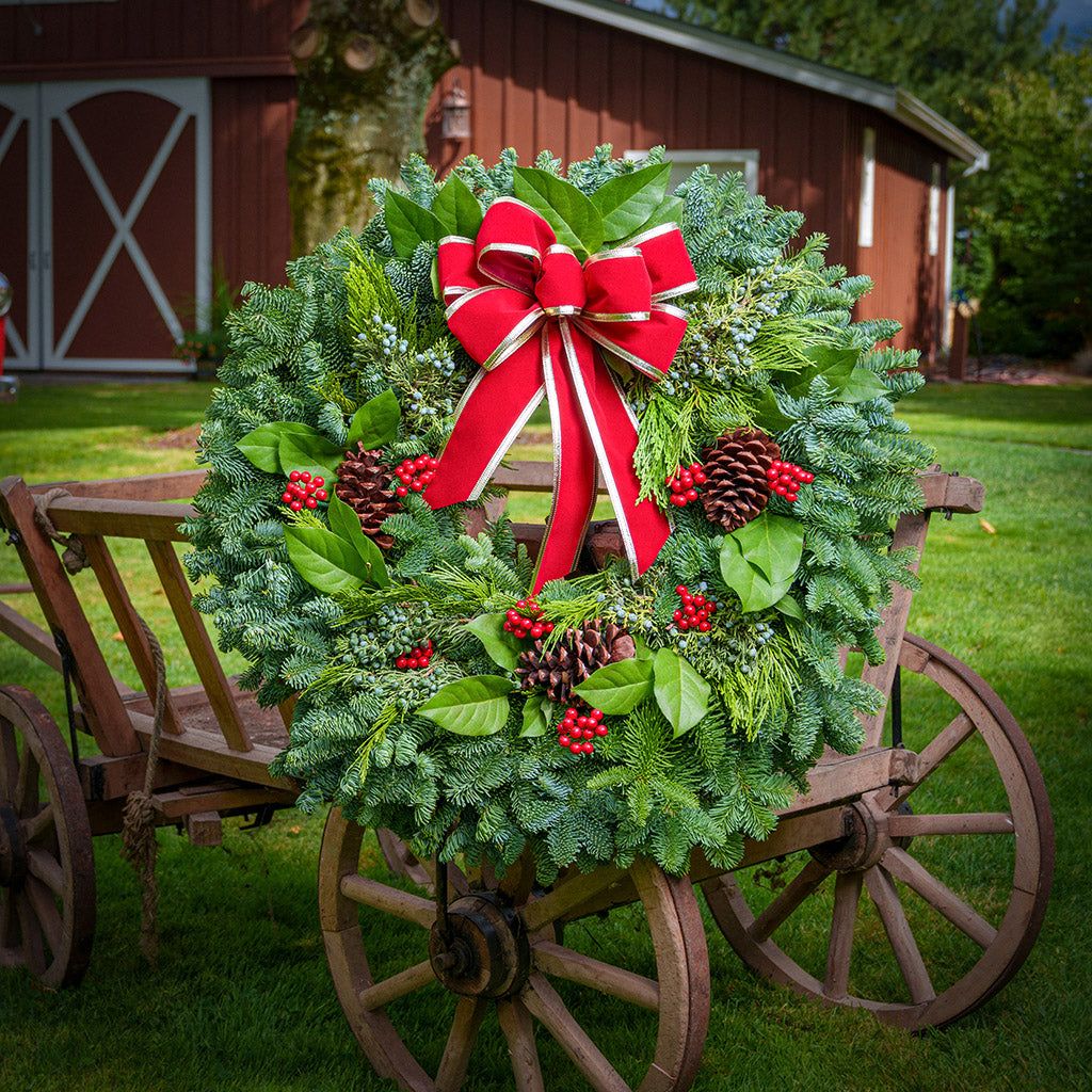 Christmas Wreaths for the Holidays - Xmas Wreaths for Front Door – Lynch  Creek Farm