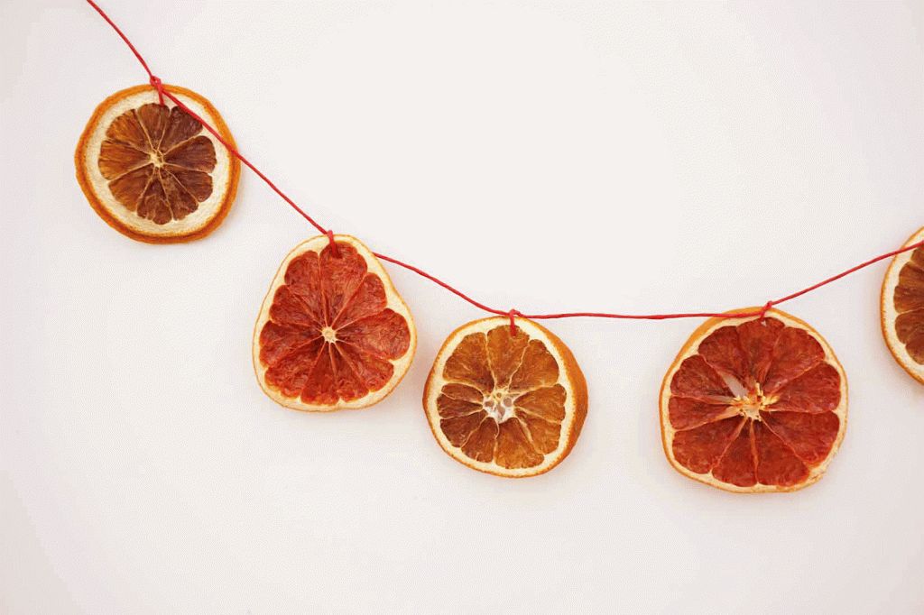 Citrus-Garland-Ornaments11 – Maker Mama
