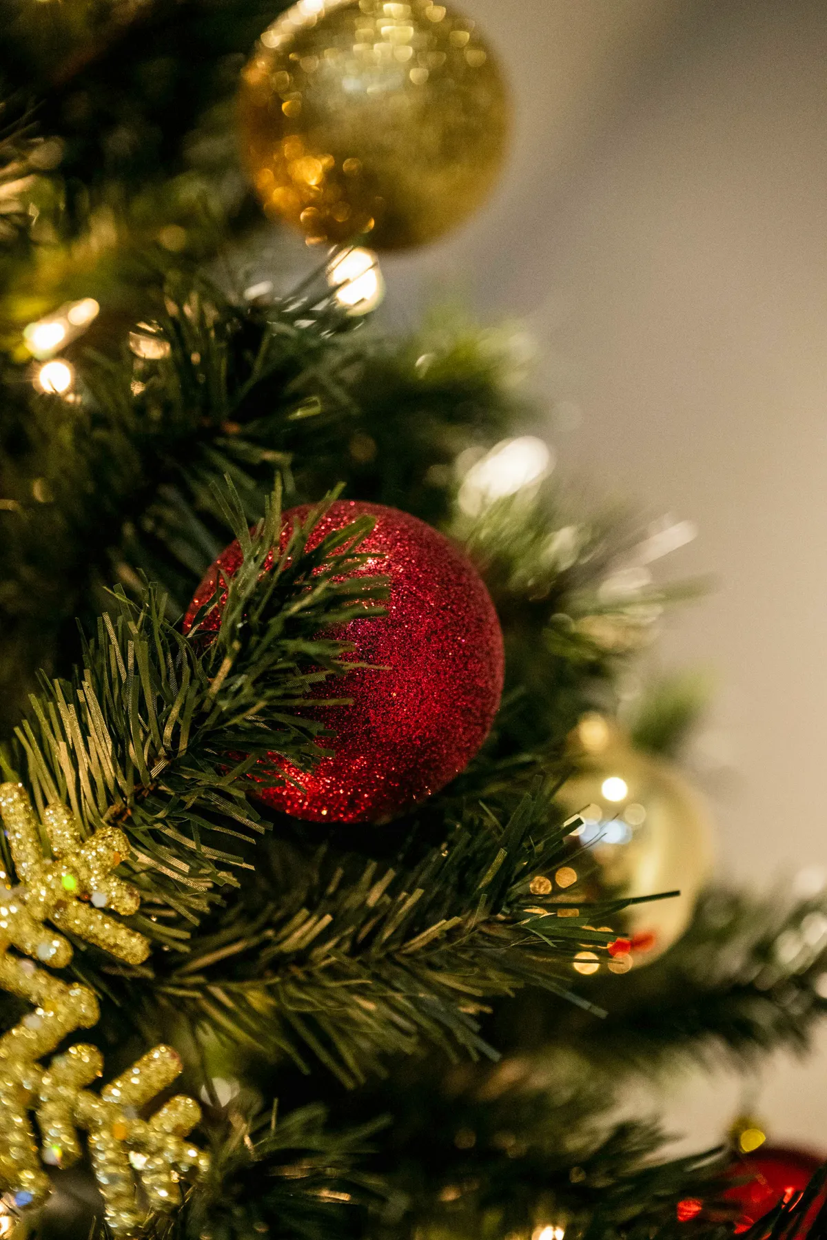 Close-up of a decorated christmas tree with ornaments - Free Photo on  Unsplash