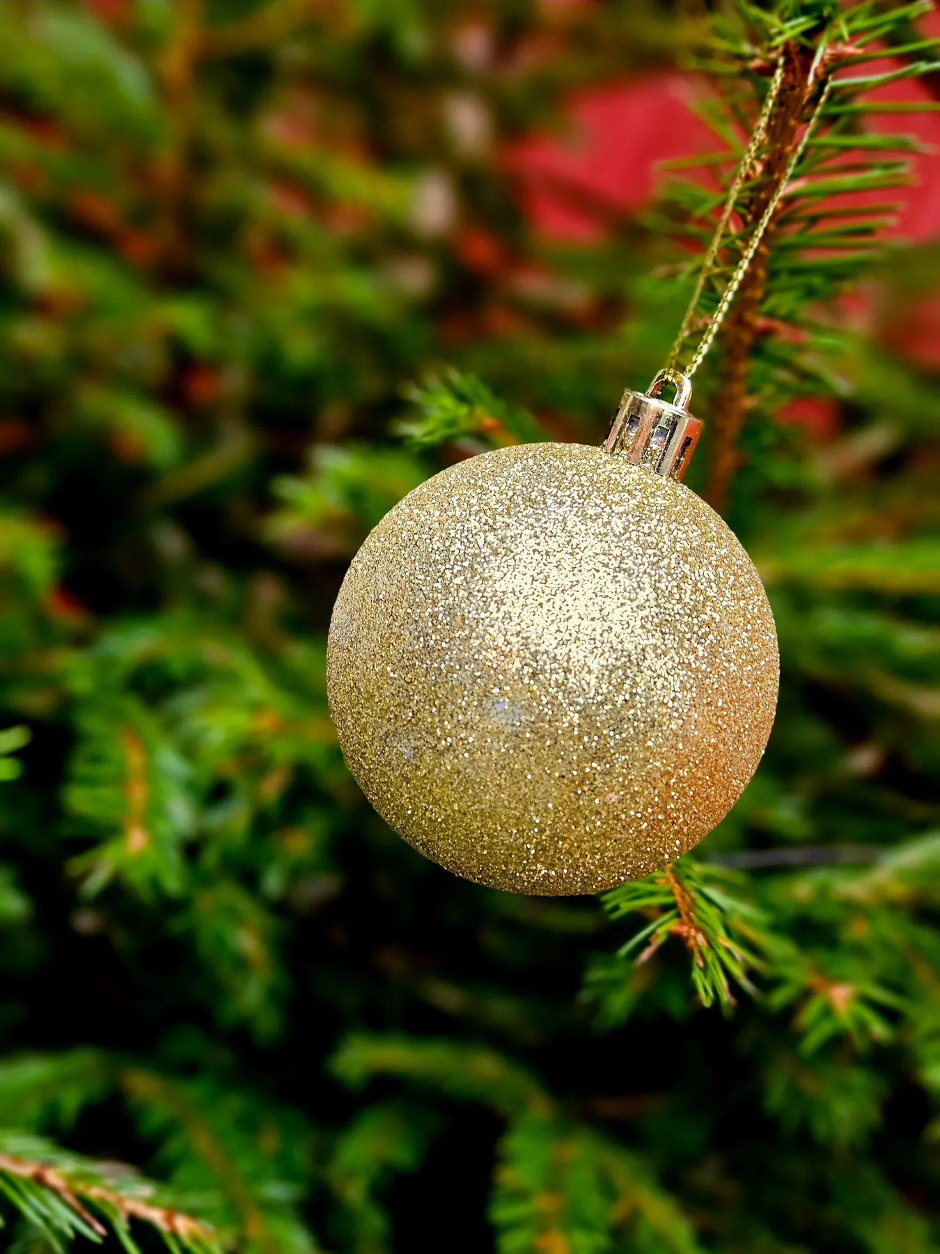 Close-up of a glittery gold ornament hanging on a green Christmas tree branch.