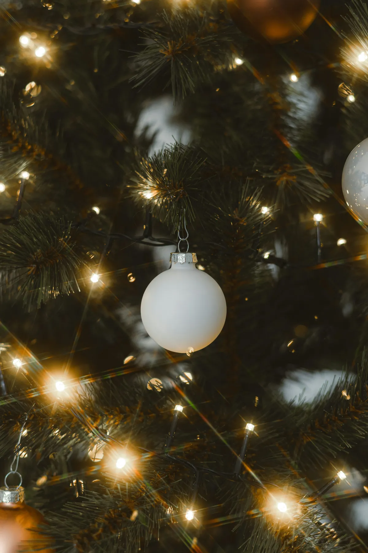 Close-up of a white ornament on a christmas tree - Free Photo on Unsplash