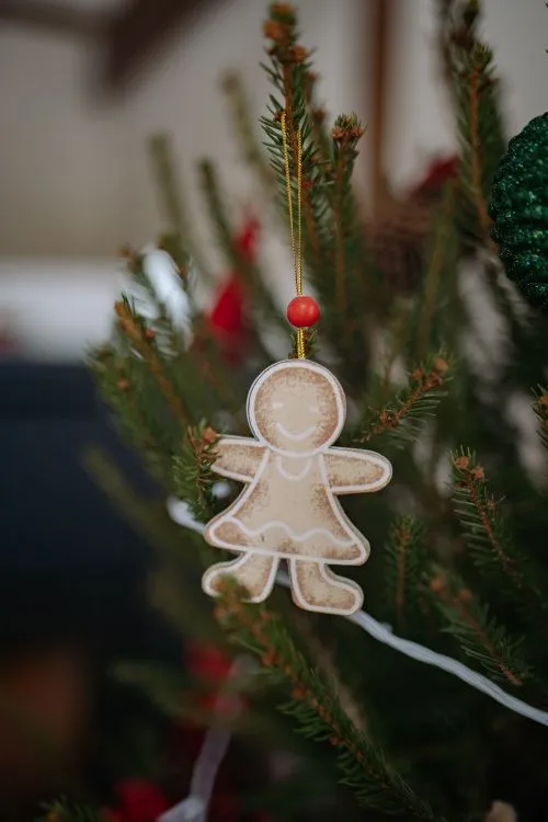 Close Up of Gingerbread Cookies · Free Stock Photo