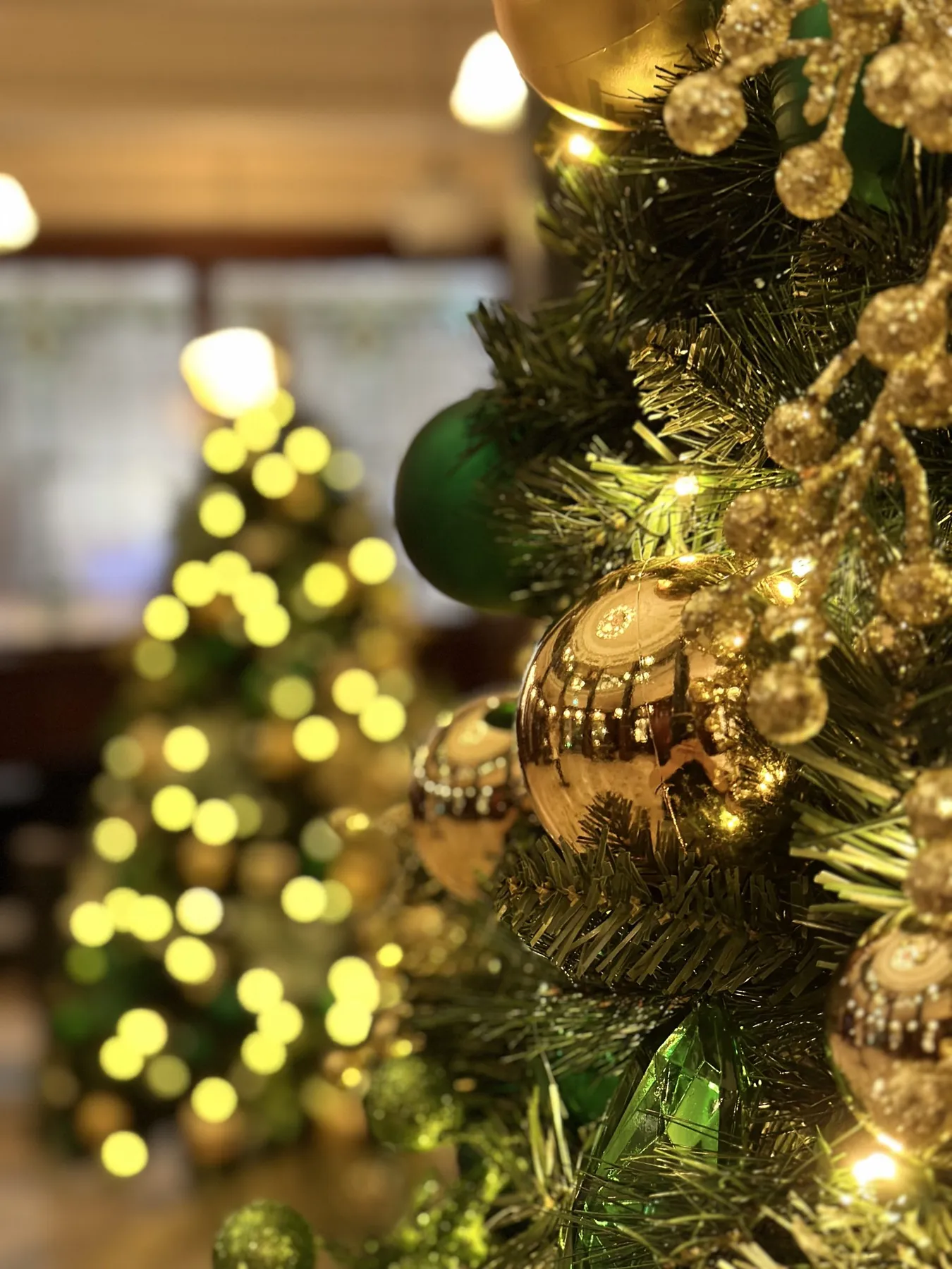 Collections - Baubles & Spruce | Christmas Tree Hire Melbourne