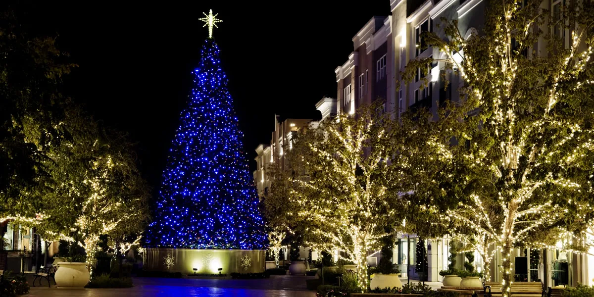 Commercial Christmas Light Installation old - DFW LIGHTS