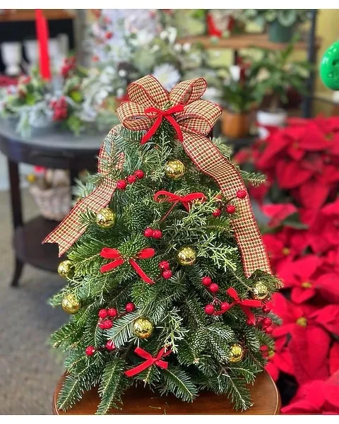 Country Fresh Christmas Mini Tree in Asheville NC - Kaylynne's Briar Patch  Florist