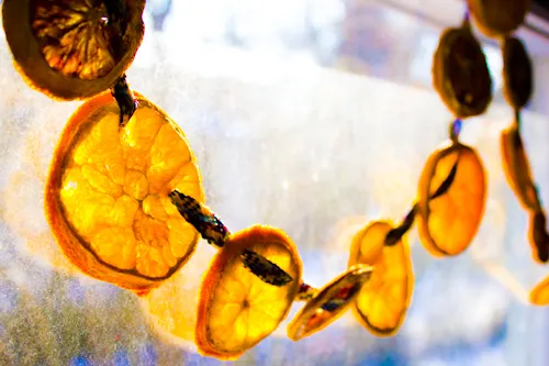 Craft Knife: Dehydrated Orange Garland, Country-Style