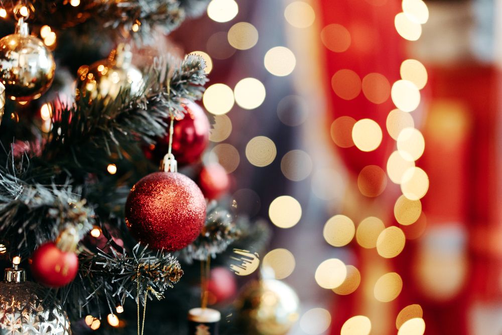 Creating a Winter Wonderland: Indoor Holiday Decor Ideas - Traditions of  Braselton Homes