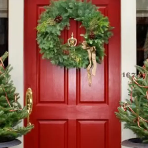 Custom Entry Door (Red Finish) - Design Custom Storm Doors