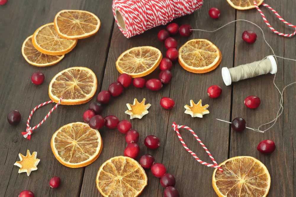 Deck the Halls (and Walls) With Fresh Cranberries for a Stunning Result |  The Epoch Times