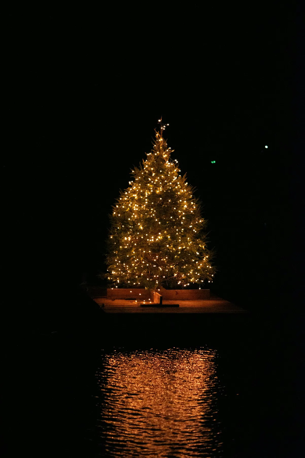 Decorated christmas tree glowing at night with reflection - Free Photo on  Unsplash