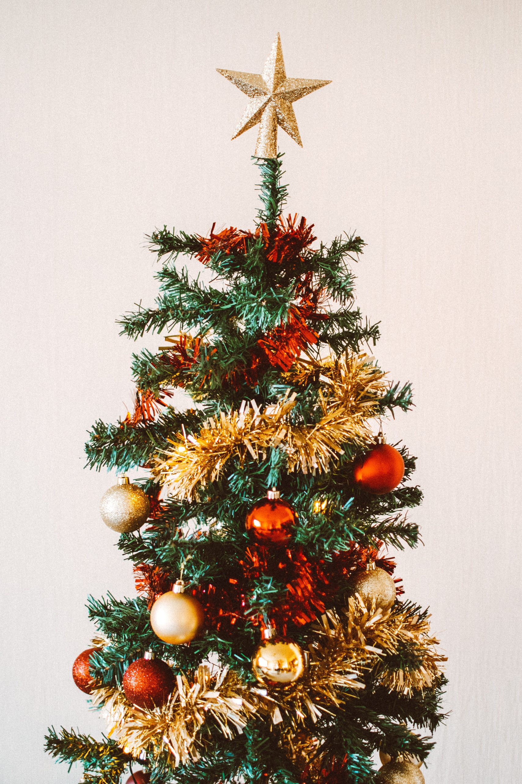 Decorated Christmas tree with star on top, featuring red and gold ornaments.