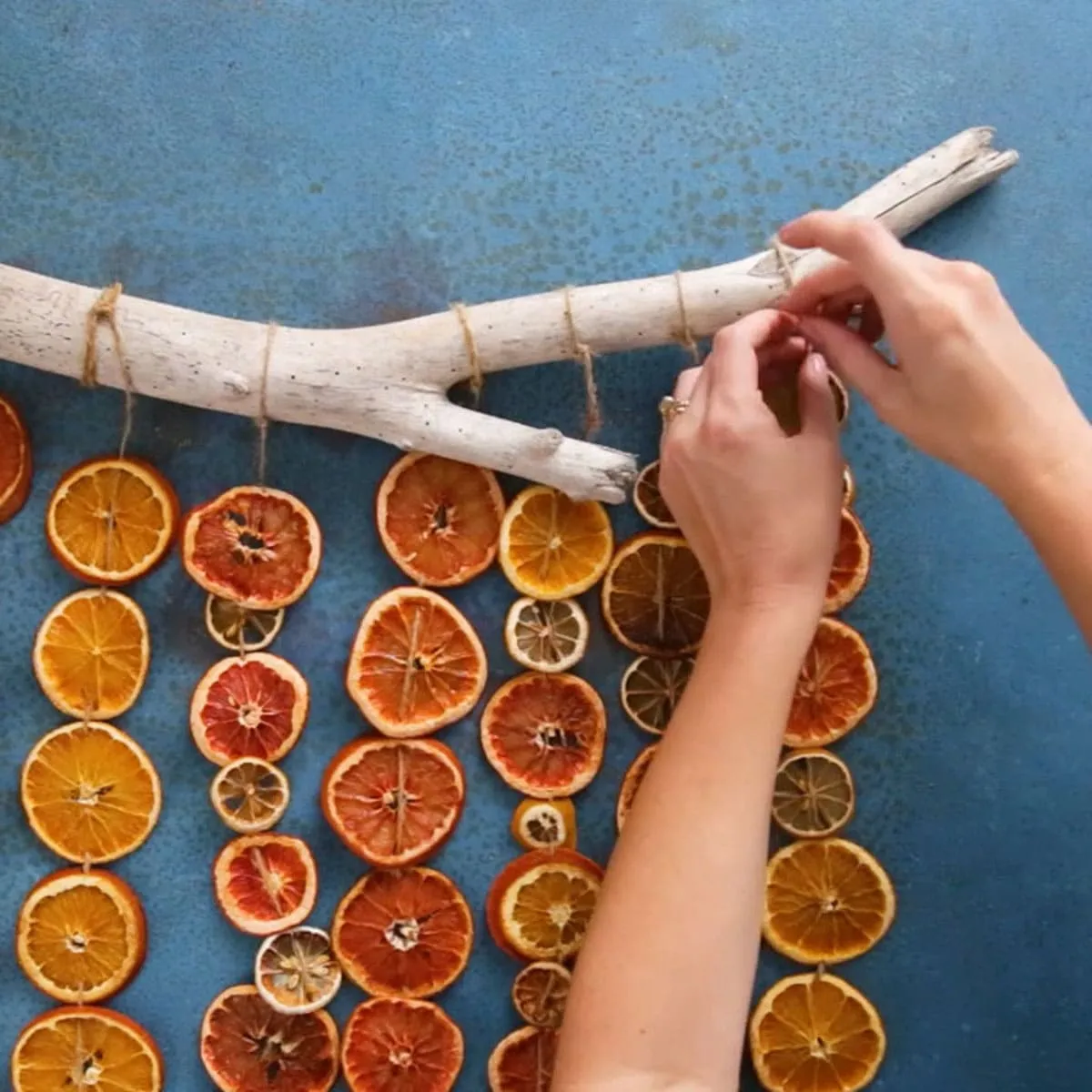 Decorating with Oranges For A Festive Thanksgiving! - A Piece Of Rainbow