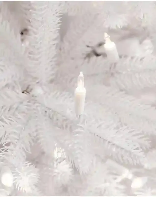 Denali White® Christmas Tree - Grow Xmas Trees