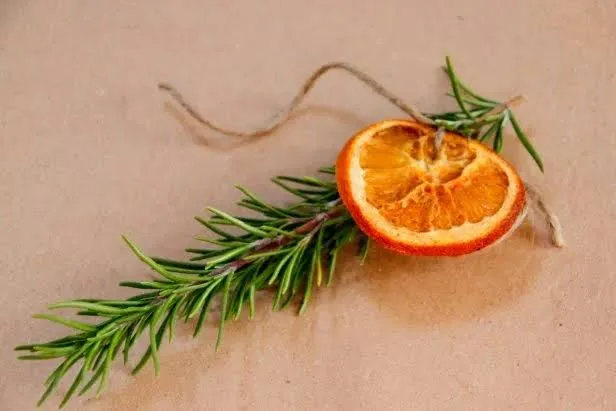DIY Orange Garland | How to Make a Holiday Citrus Garland | HGTV