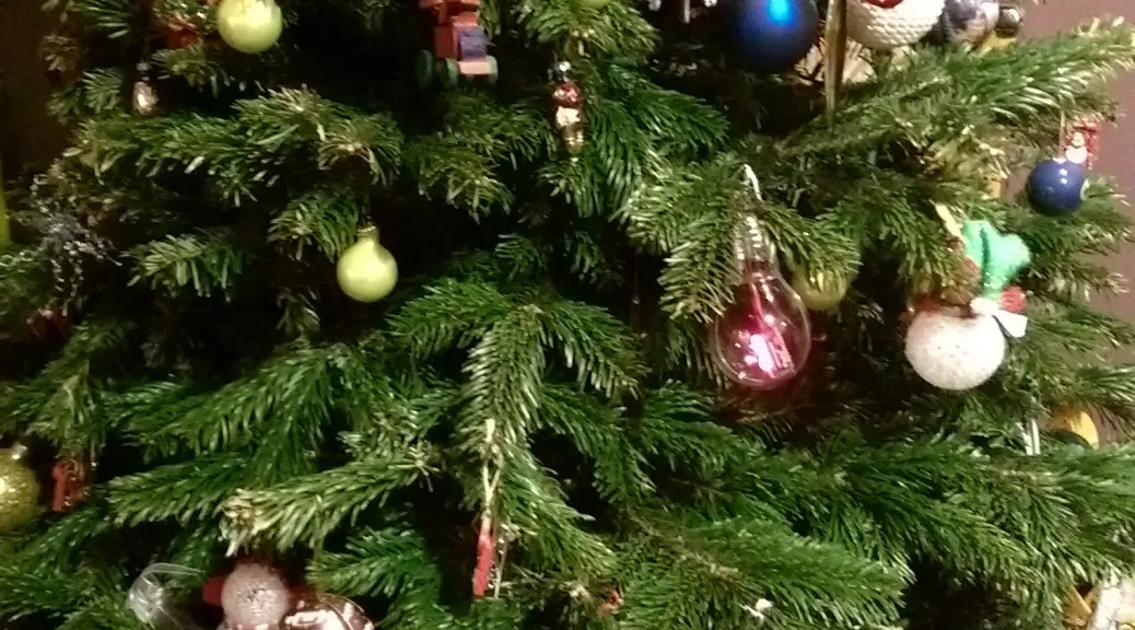 Does the Christmas tree need water? | Ninety Percent Finished