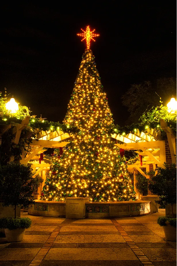 Downtown is for Making Merry Memories - Downtown Winter Garden