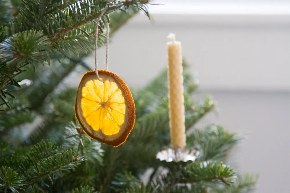 dried orange ornaments. – Reading My Tea Leaves – Slow, simple, sustainable  living.