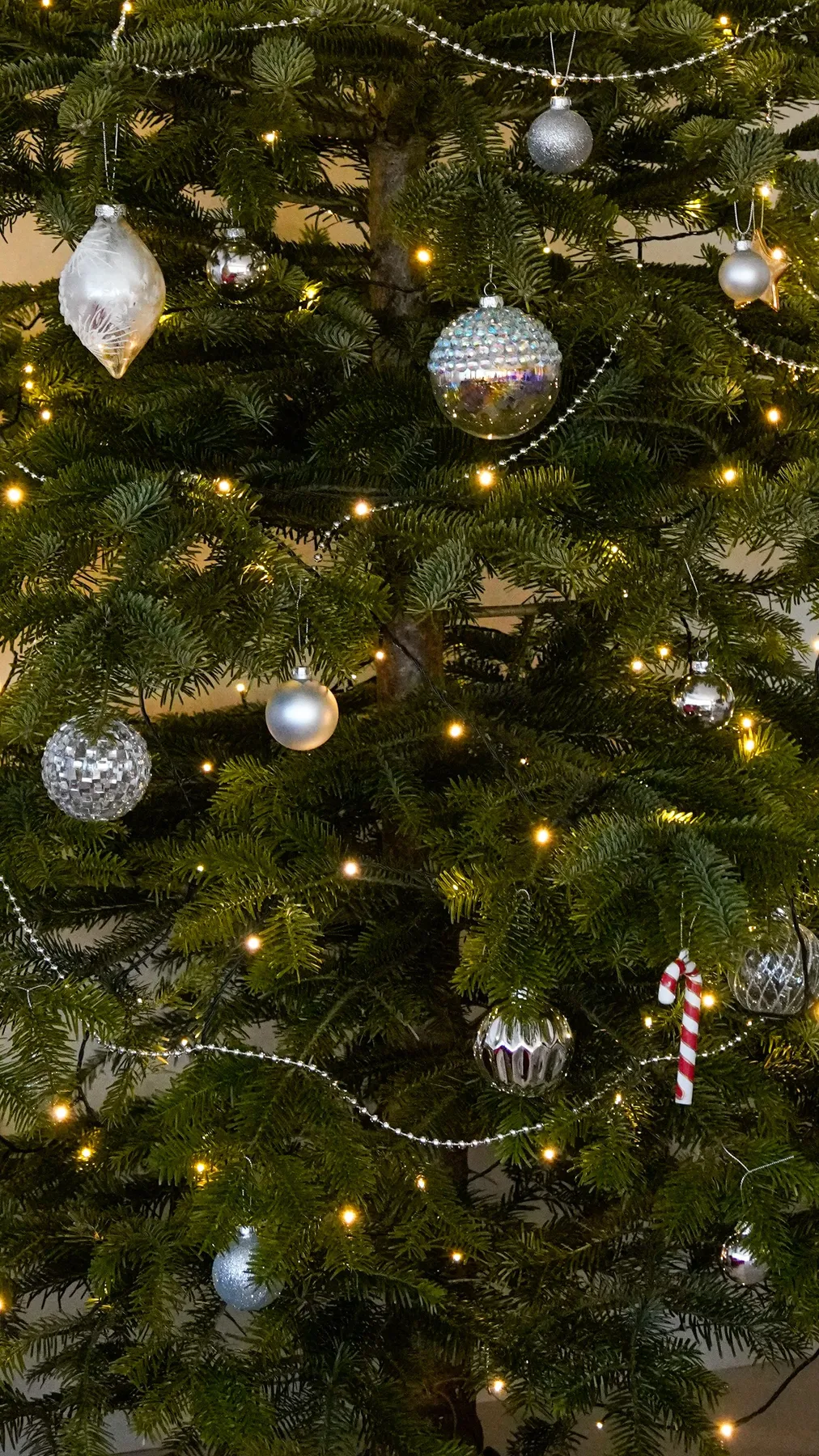 Elegant Christmas tree adorned with silver ornaments and twinkling lights, perfect for holiday celebrations.