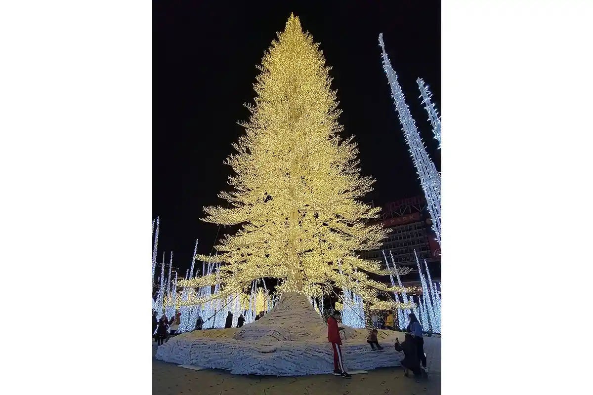 Enchant Christmas Is Not Returning to DC This Season
