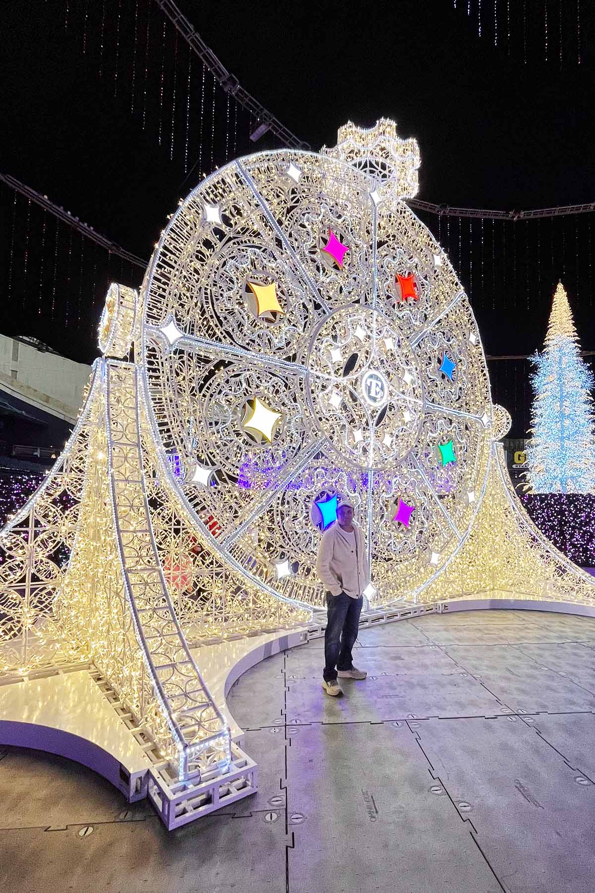 Enchanted Christmas Lights St Pete Florida | Lizzy Loves Food