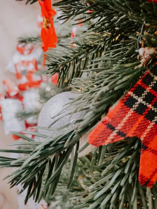 Evergreen Leaves and Red, Small Ball · Free Stock Photo