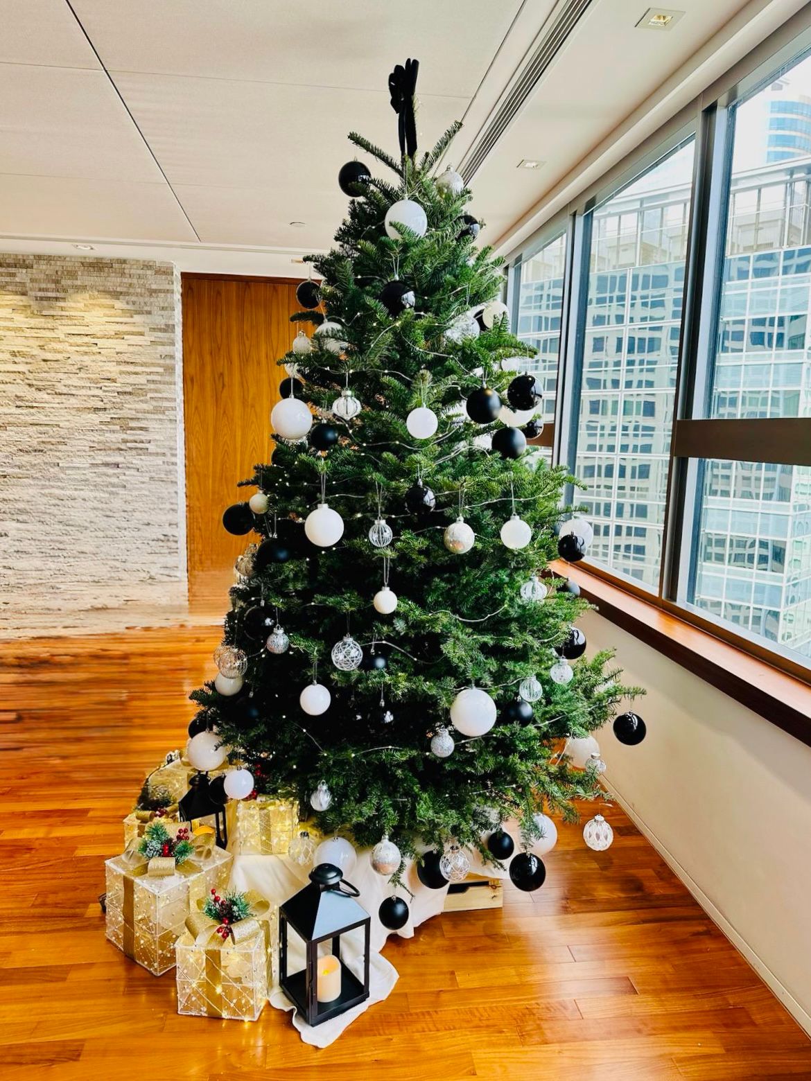Exquisite Noble Fir from the USA – PlantsBoss