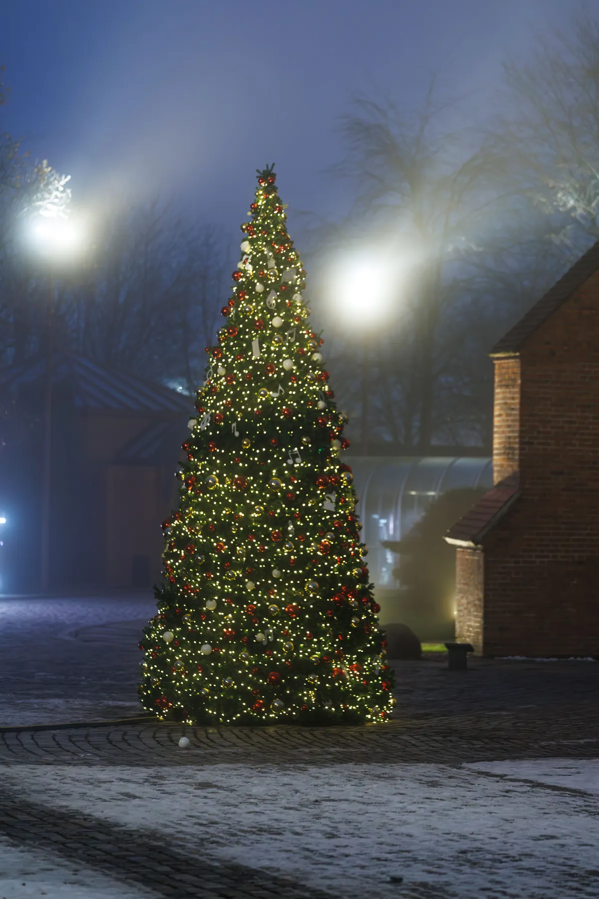 Festive Outdoor Christmas Tree at Twilight · Free Stock Photo