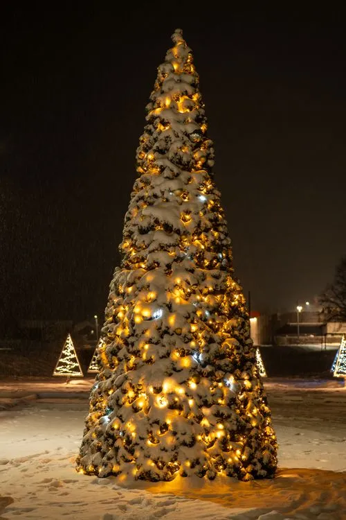 Festive Outdoor Christmas Tree at Twilight · Free Stock Photo