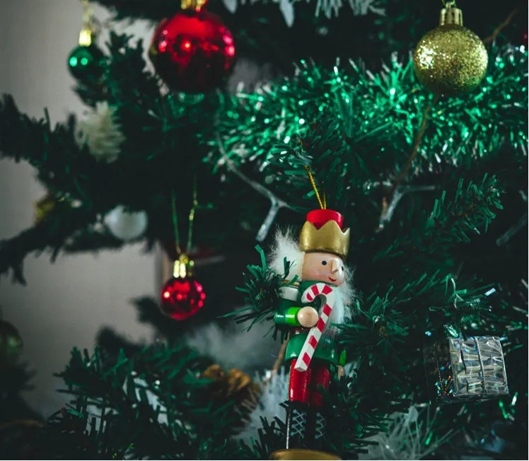 Find Beautifully Lit Christmas Trees for Sale