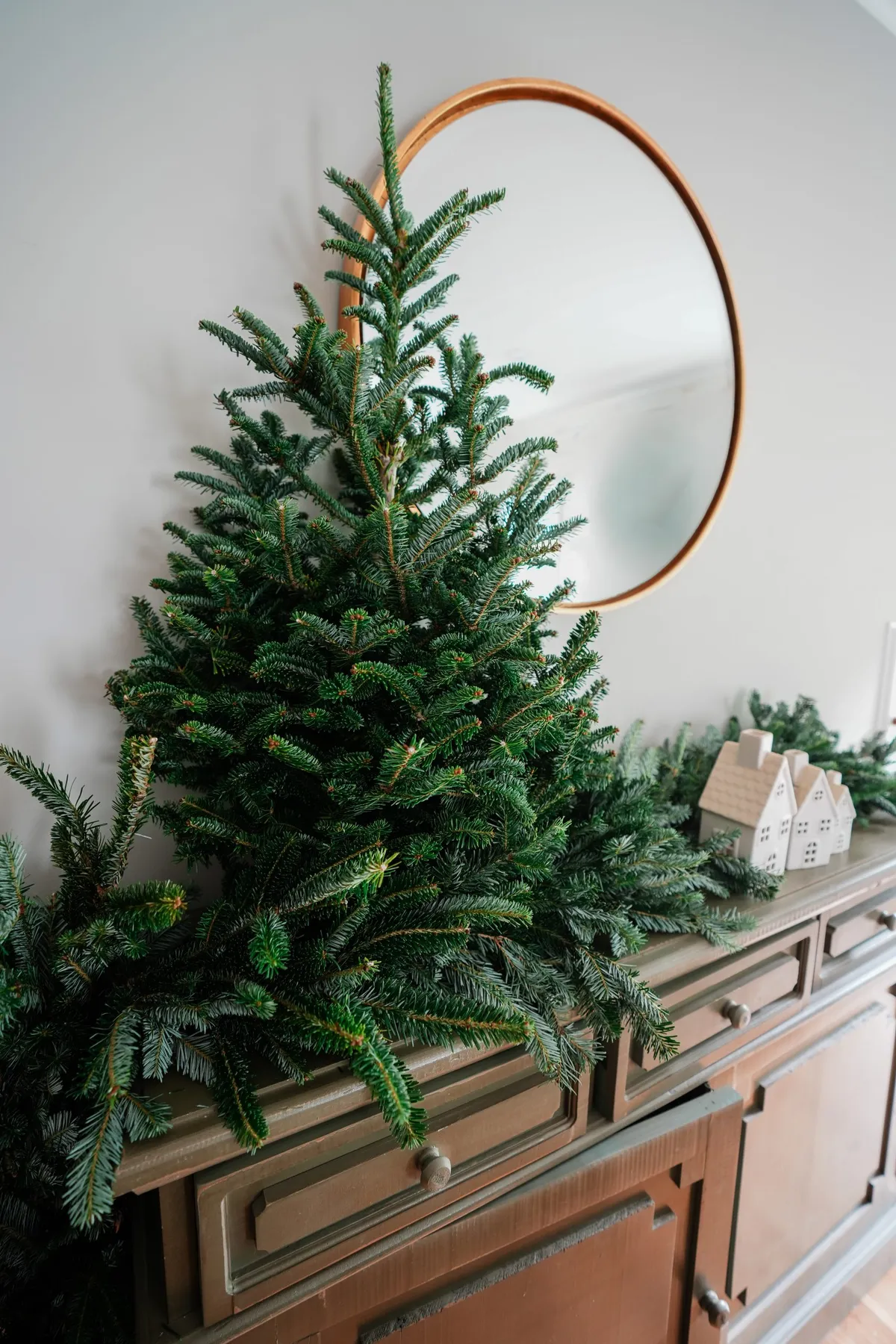 Fraser Fir Table Top Christmas Tree - Appalachian Evergreens