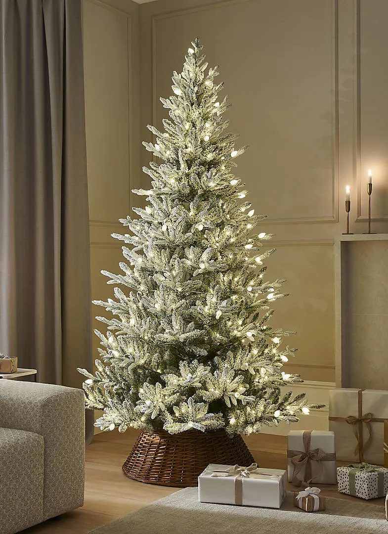 FROSTED DALTON FIR - 7.5ft Christmas Tree with 550 Warm White LEDs