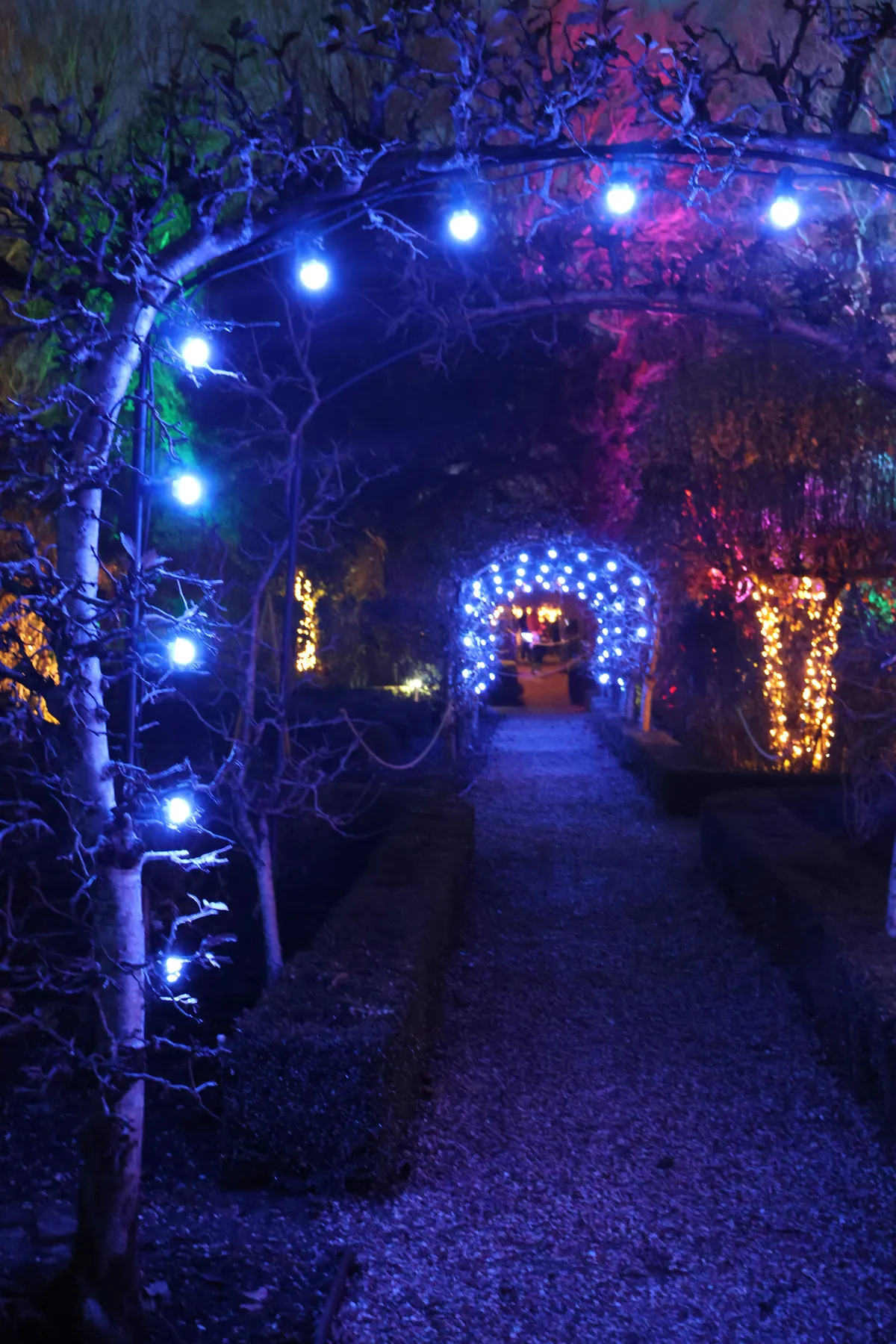 Garden path with illuminated archways and trees at night - Free Photo on Unsplash