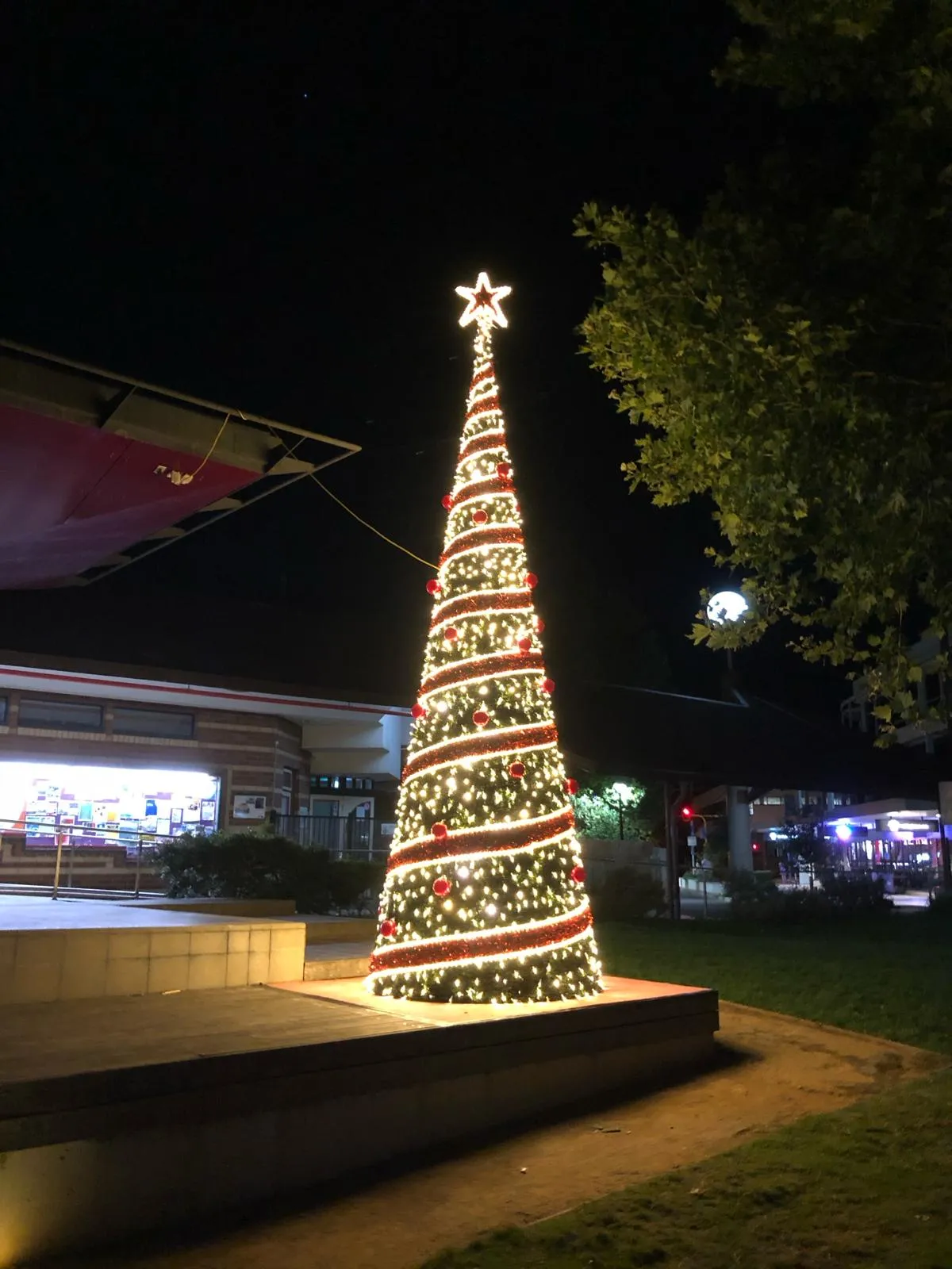 Giant Pre-lit Outdoor Christmas Trees | Christmas Concepts Australia