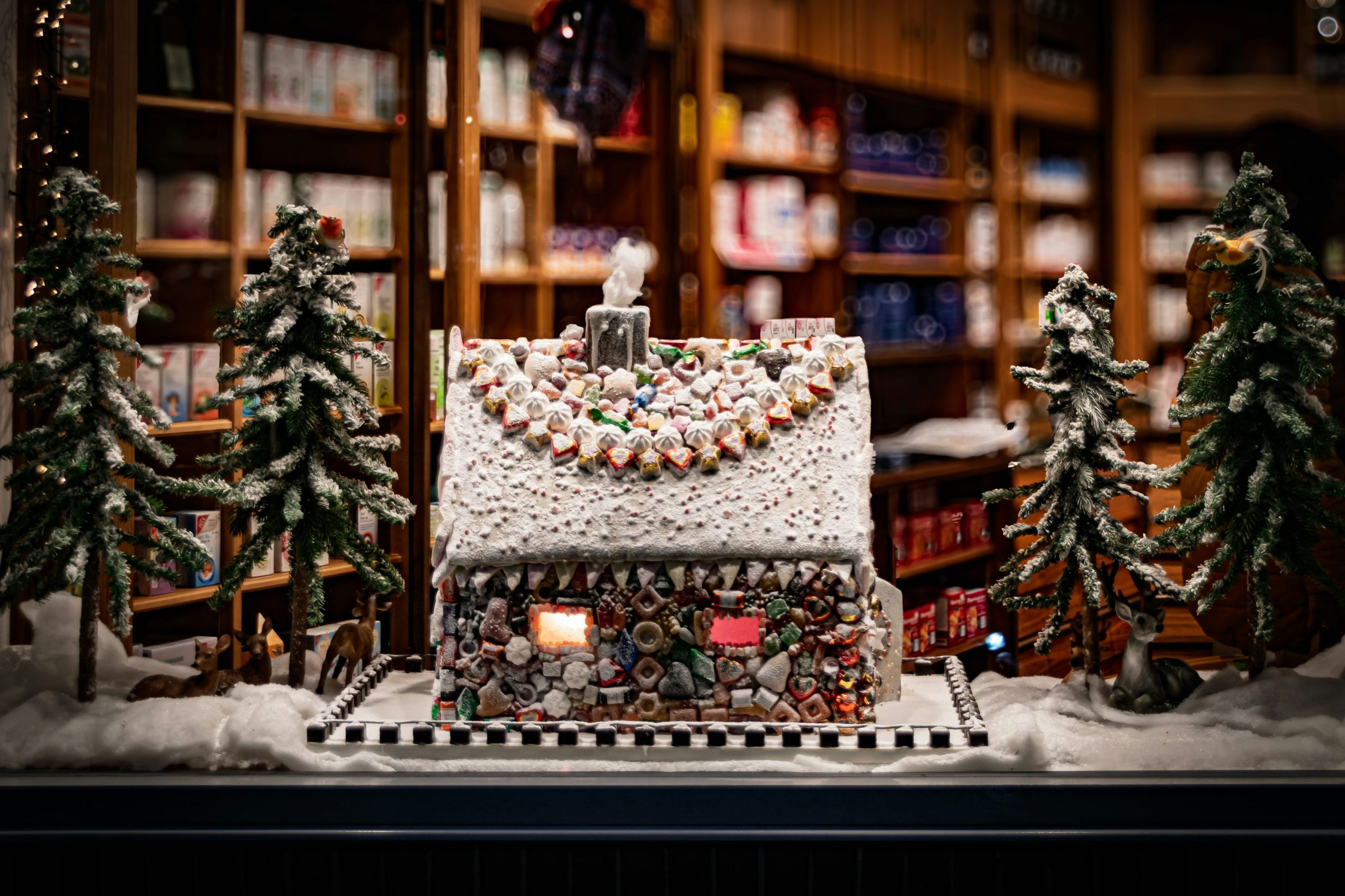 Gingerbread house decorated with candy and surrounded by trees photo – Free  Christmas Image on Unsplash