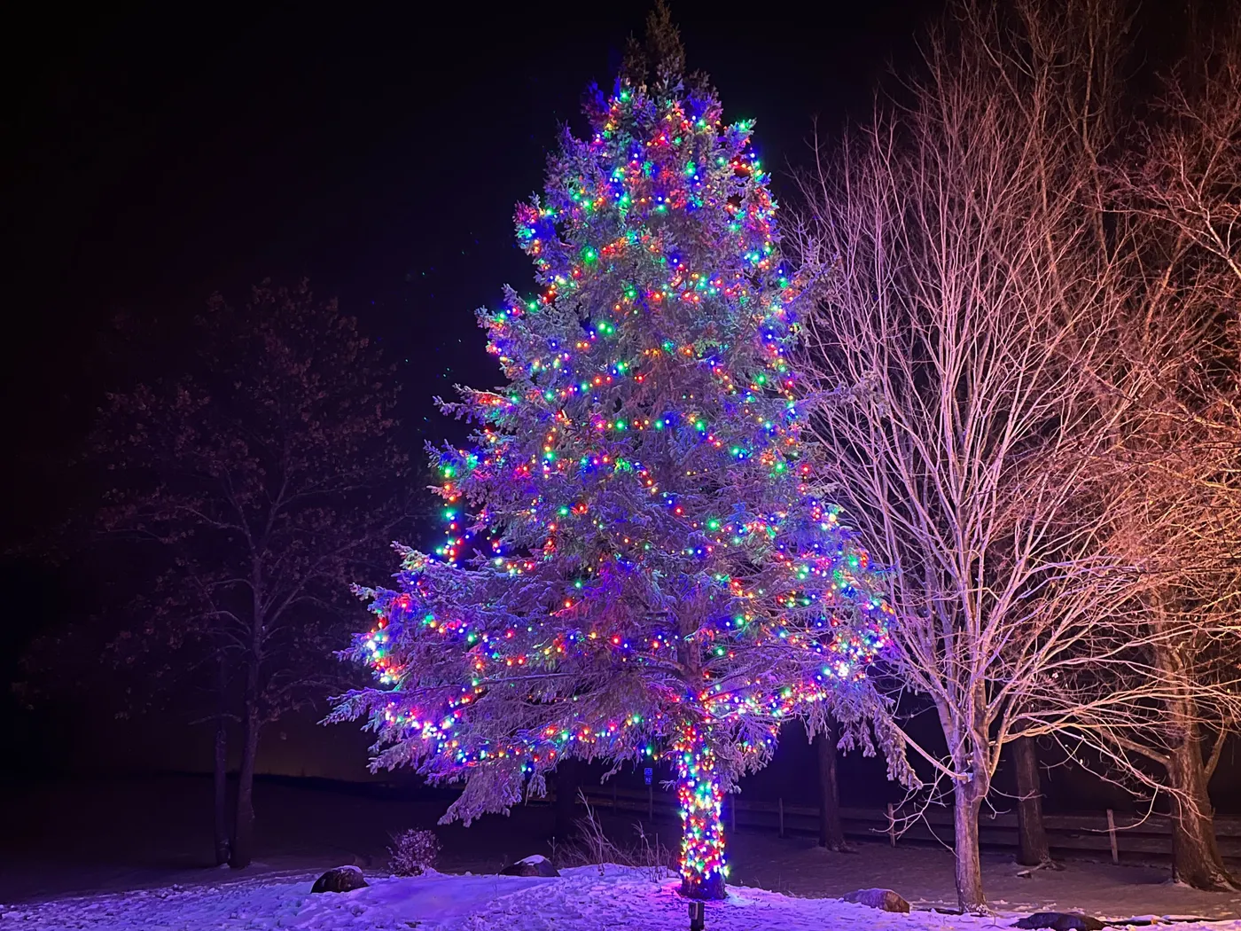 Glowing Holiday Masterpiece: Your Ultimate Outdoor Christmas Light  Installation - Wash Masters Window Cleaners & Pressure Washing