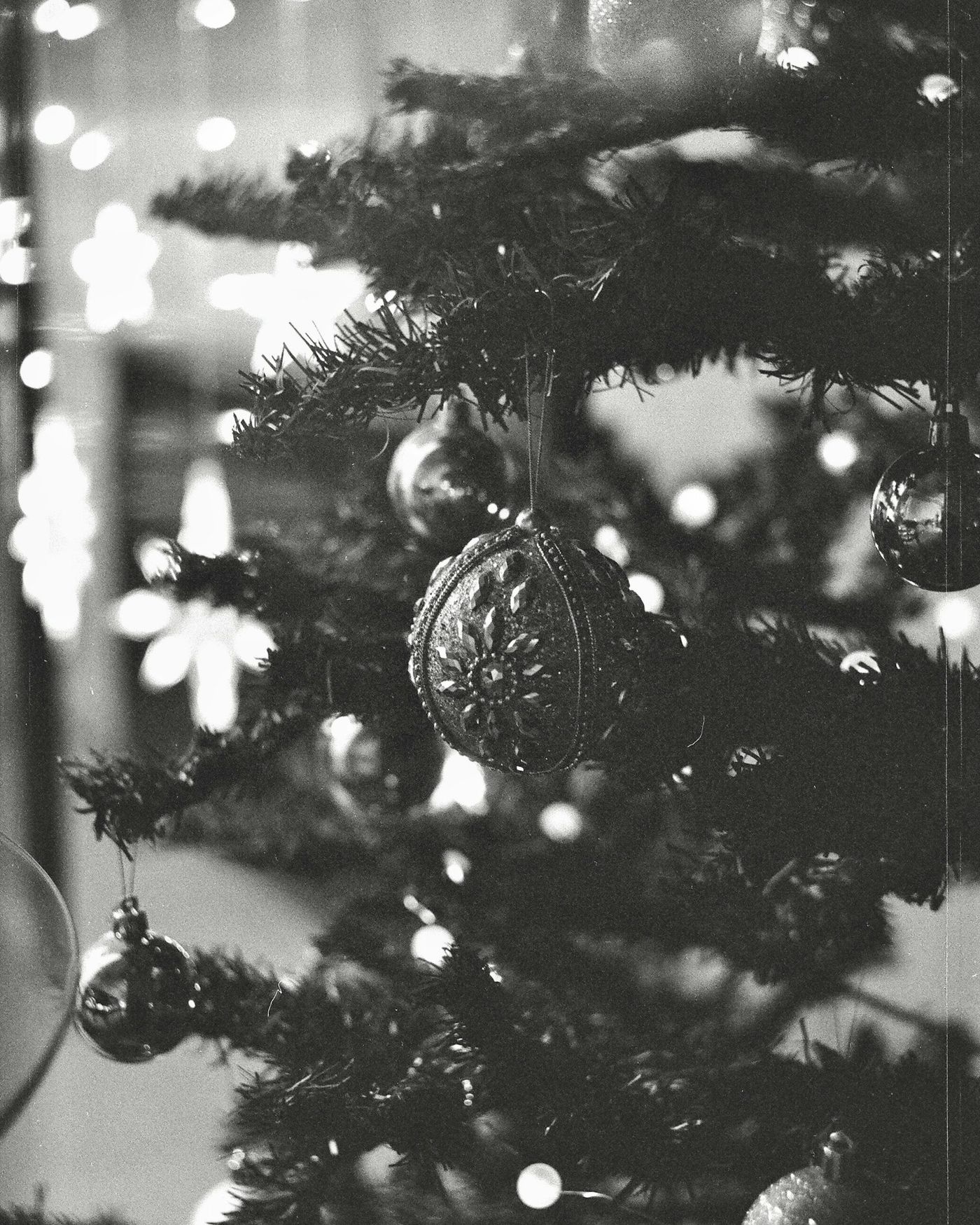 Grayscale photography of christmas tree with baubles - Free Photo on  Unsplash