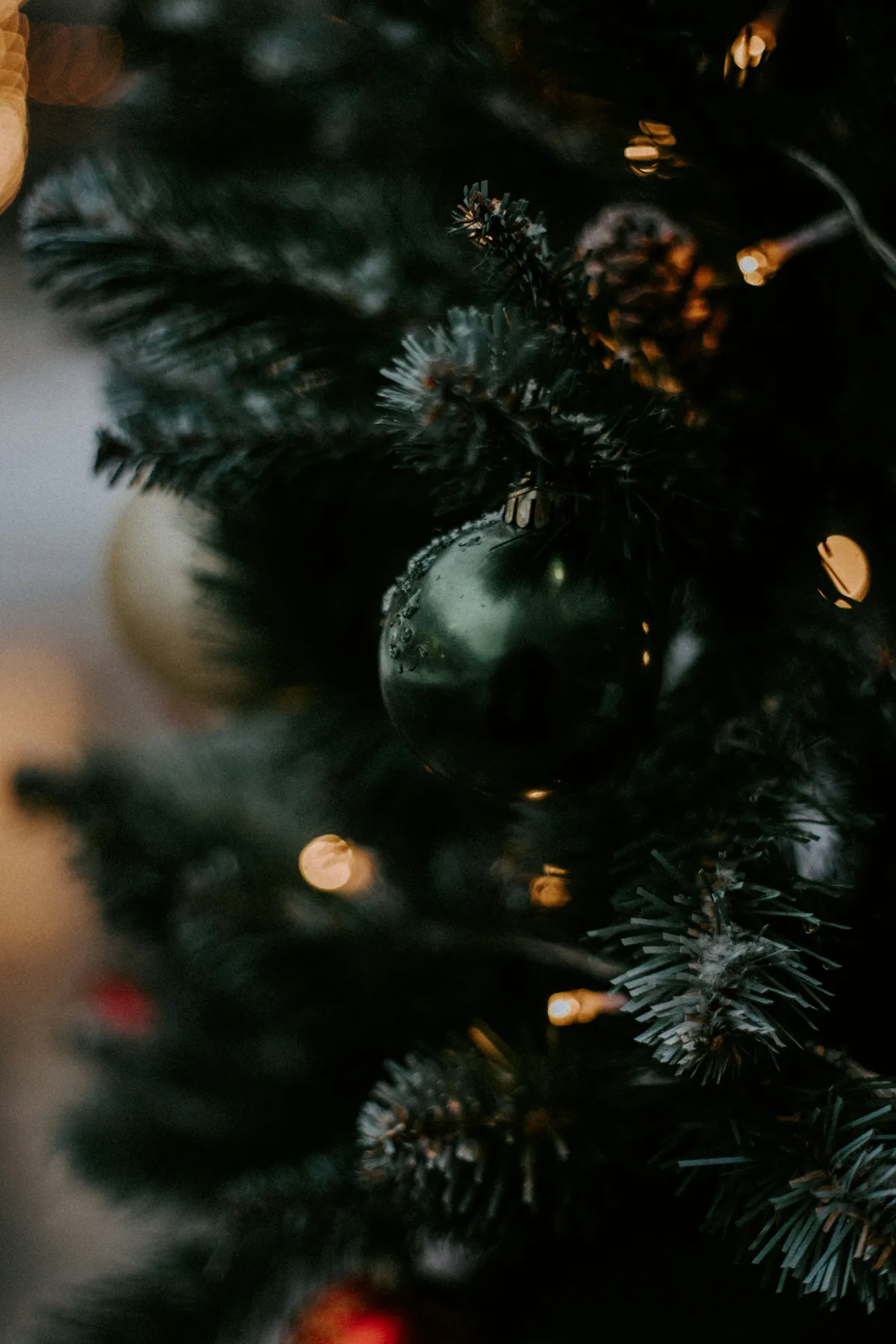 Green christmas tree with string lights - Free Photo on Unsplash