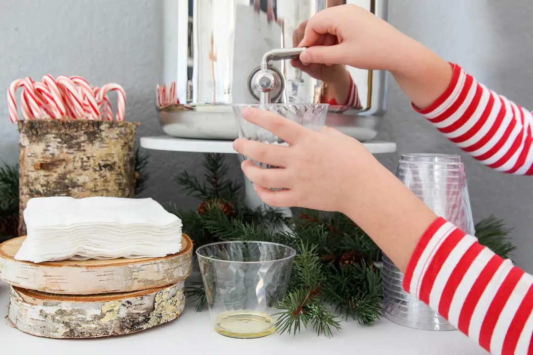 Holiday Drink Station Ideas - Chinet®