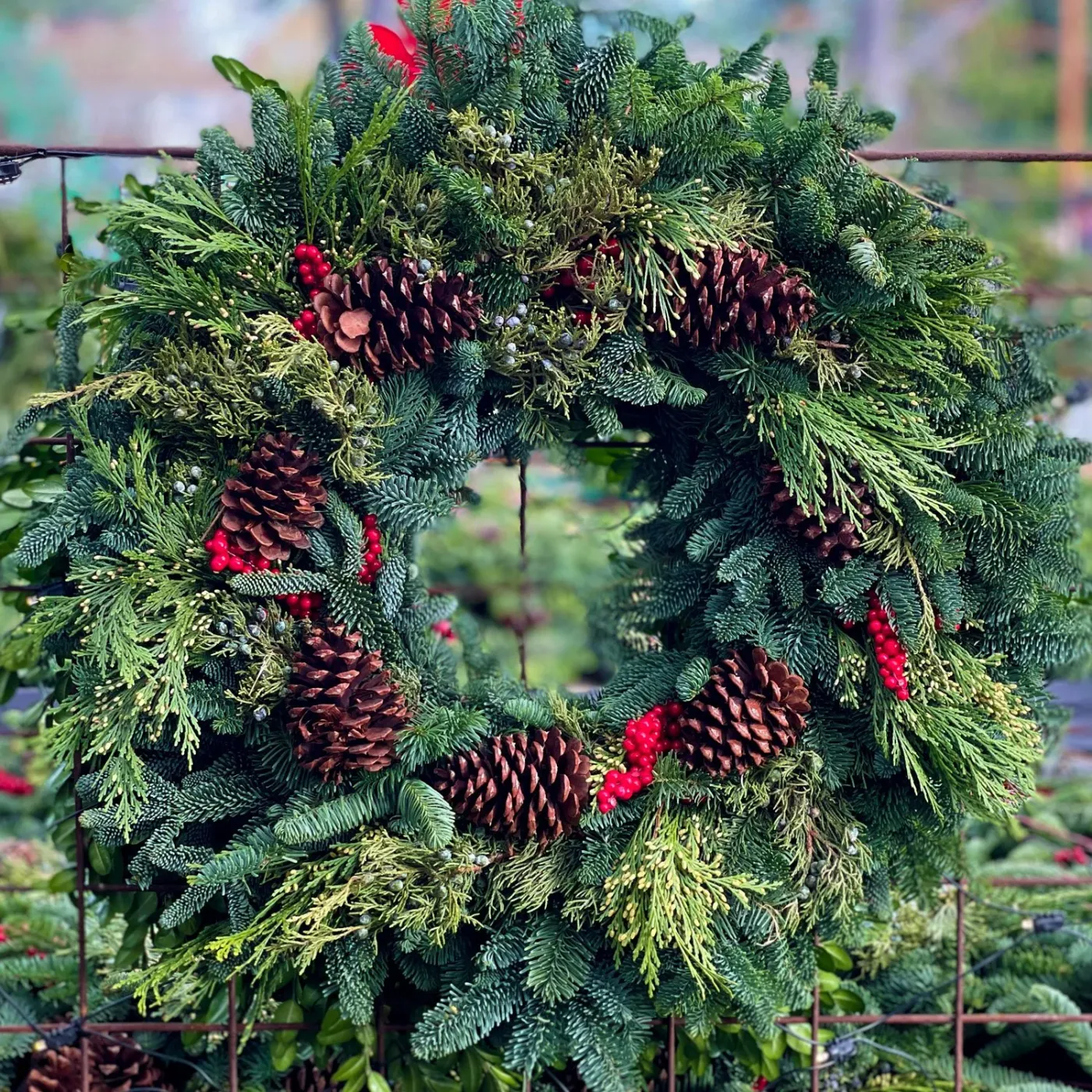 Holiday Wreaths, Garlands, and Poinsettias — Seattle's Favorite Garden  Store Since 1924 - Swansons Nursery