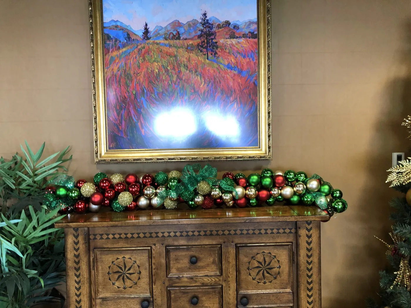 Holidays | Denver Plant Care, Living Walls, Patioscaping & More