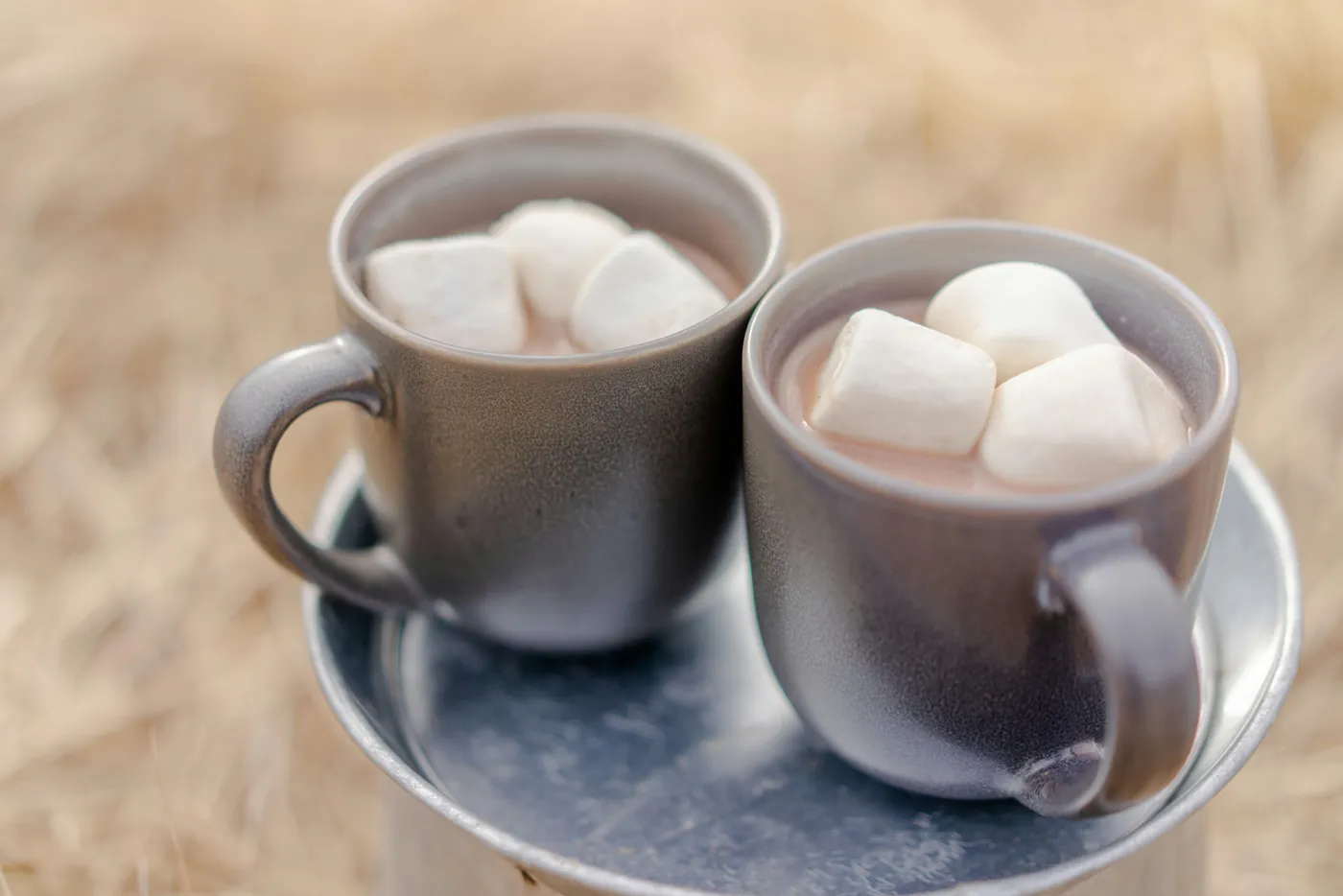 Hot Cocoa with Marshmellows