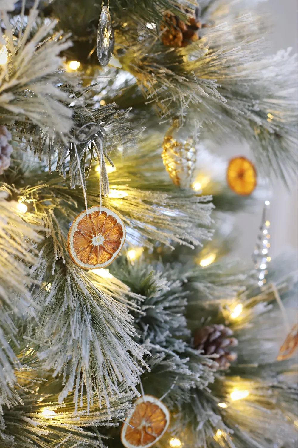 How to Dry Orange Slices for Christmas Decorating - Grateful Prayer |  Thankful Heart