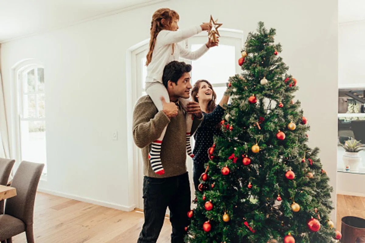 How to find the perfect Christmas tree, what to watch out for, and where to  buy - Grimsby Live
