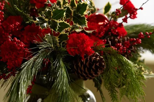 How to make a Christmas Arrangement with Red Carnations, White Pine,  Winterberry and Holly! — J Schwanke's Life In Bloom
