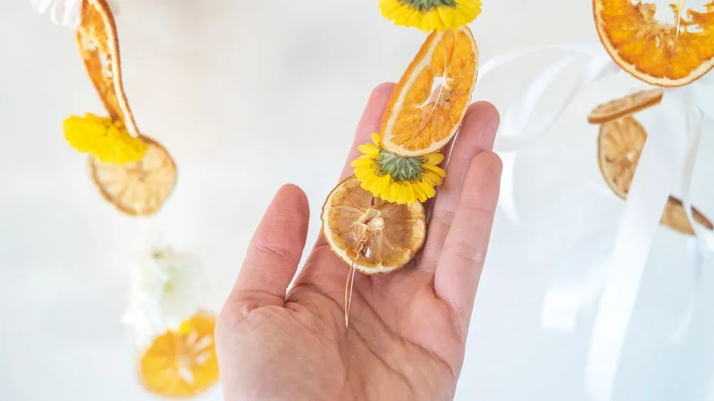 How to Make a Citrus Garland with Dried Oranges and Lemons — TADMINT —  Design Resource and Merchandise for Creatives
